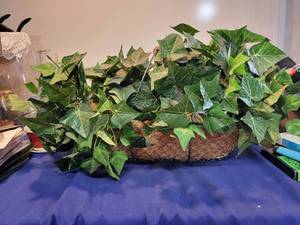 lot 1094 image: Basket of ivy