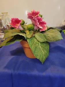 lot 1135 image: Flower in flower pot