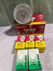 lot 9785 image: (1) Floodlight. (3) 100 watt Bulbs. (2)75 W bulbs