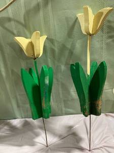 lot 9788 image: (2) Garden tulips 16 inches & 14 inches