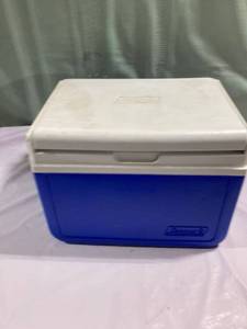 lot 9914 image: 10 x 7�� Coleman can cooler