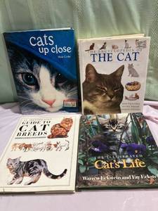 lot 9918 image: CAT BOOKS