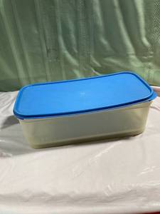 lot 9928 image: 14 12 x 7 14 Tupperware container with tray