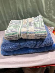 lot 9955 image: (2) Bath sheets (1) Large Towel