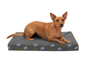 lot 11499 image: Deluxe Mattress Dog Bed - IndoorOutdoor Garden (used)