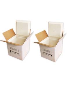 lot 2184 image: EmmChill SF11A Insulated Shipping Cooler, 11in x 9in x 9in (Pack of 2)