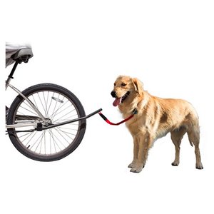 lot 6576 image: Sunlite Bicycle Dog Leash