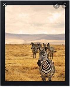 lot 6767 image: Jd art gallery zebra print