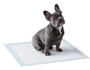 lot 6830 image: Amazonbasics Dog Puppy Pee Training Pads
