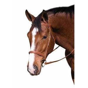 lot 6897 image: Henri de Rivel Fancy Raised Padded Bridle with Laced Reins Pro 5001,Havana,Standard