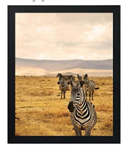 lot 6910 image: JD ART GALLERY 16x20 Poster Frame,Black