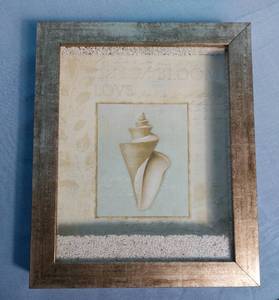 lot 32702 image: 3 Dimensional Shell Picture, Relax