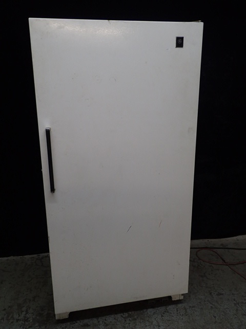 lot 261 image: GE Stand Up Freezer