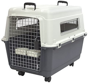 lot 11726 image: IATA Compliant Plastic Kennel