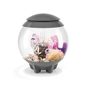 lot 15922 image: biOrb Halo 15 Aquarium with MCR Lighting