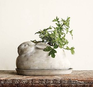 lot 7614 image: Creative Co-Op Cement Rabbit Planter with Saucer