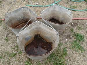 lot 1859 image: Lot of 3 Corner Stall Feed Buckets