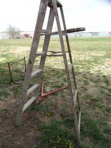 lot 1866 image: 7Ft Aluminum Step Ladder