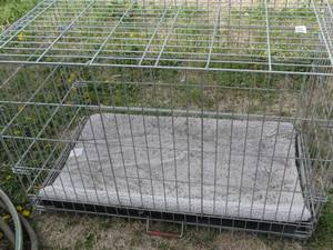 lot 1872 image: Metal Animal Crate