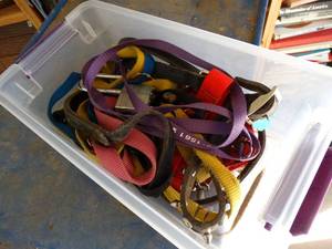lot 1973 image: Lot of Leashes