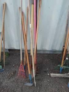 lot 29972 image: Shovels, racks, hoes