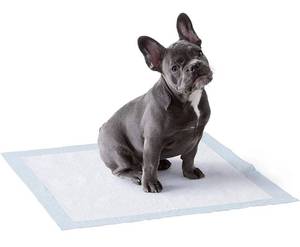 lot 7734 image: Amazonbasics Dog Puppy Pee Training Pads Regular Absorbency - 150 Pack