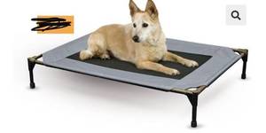 lot 10795 image: K&H Pet Products Elevated Dog Bed, Gray (Large)
