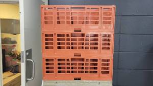lot 4661 image: (3) Red SLite Glass Racks