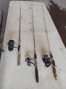 lot 6176 image: 3 fishing rods and reels