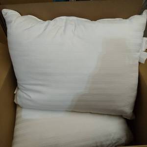 lot 48784 image: 2 ULTRA SOFT DESIGNER PILLOWS