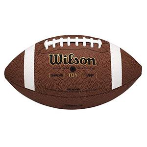 lot 4935 image: WILSON WTF1714 TDY Composite Football - Youth