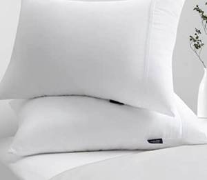 lot 15603 image: ViewStar Pillows (20x28) Lot of 2 (White)