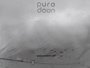 lot 27169 image: Pure down pillows,Twin pack, StandardQueen sized