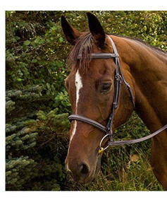 lot 27306 image: Henri de Rivel Fancy Raised Padded Bridle with Laced Reins Pro 5001, Havana