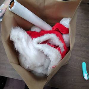 lot 5268 image: SMALL MYSTERY BAG LOTS OF FUN STUFF