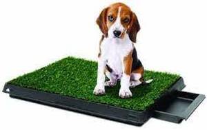 lot 33978 image: Pet Potty Pet Park Deluxe