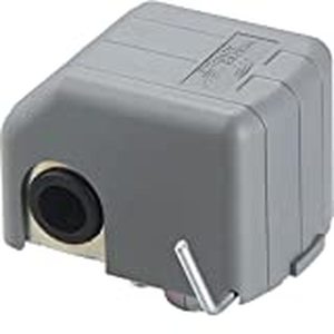 lot 6201 image: Everbilt 3050 Low Pressure Switch for Well Pumps
