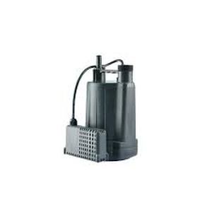 lot 6177 image: Water Source Automatic Utility Pump