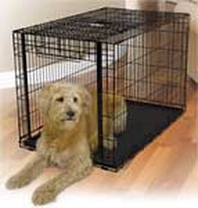 lot 9860 image: MidWest Ovation Single Door Crate