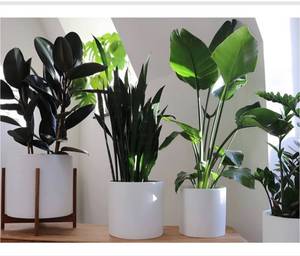 lot 10452 image: 12 Large Plant Pot by Fox & Fern - Fits Plant Stand - Drainage Plug - Outdoor Indoor - Matte White
