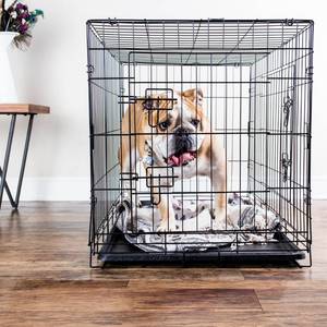 lot 10487 image: Paws & Pals Wire Dog Crate with Tray, Double Door, Large, 36L