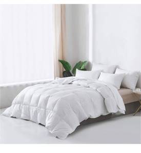 lot 10491 image: heavy weight down comforter. High loft natural white Down Fill. Twin
