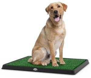 lot 22110 image: PETMAKER Puppy Potty Trainer - The Indoor Restroom for Pets 20 x 25 in