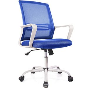lot 40219 image: Office Chair Ergonomic Mesh Chair Computer Desk Chair Executive Home Office Chairs with Lumbar Support Armrest Rolling Swivel Adjustable Mid Back (Blue)