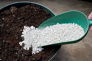 lot 40245 image: Natures Footprint Pumice Soil amendment, 3-Gallon