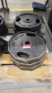 lot 38188 image: (6) Iron Grip 100lb Weights
