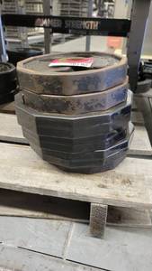 lot 38190 image: (10) Iron Grip 10lb Weight Plates