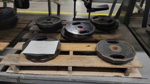 lot 38201 image: (12) Iron Grip Weight Plates - 35lb