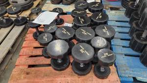 lot 38358 image: Iron Grip Rubber Wrapped Dumbells - Sizes 20lb, 35lb, 45lb, and More