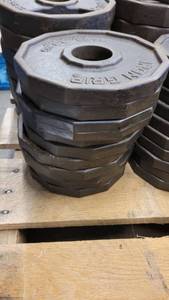 lot 38366 image: (10) Iron Grip 5lb Weight Plates